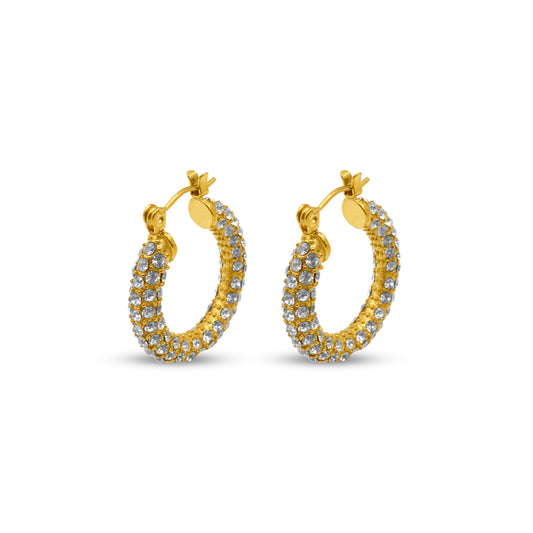 Luxury Diamond Earrings